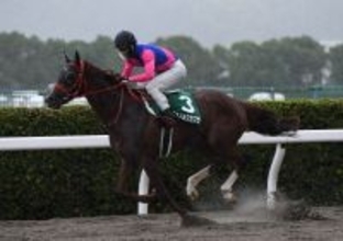 【競馬】2021年プロキオンSでVのメイショウカズサが高知へ移籍