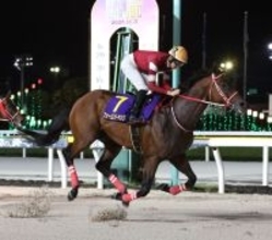 【競馬】フォーエバーヤングがエクリプス賞で最優秀古馬ダート牡馬を受賞