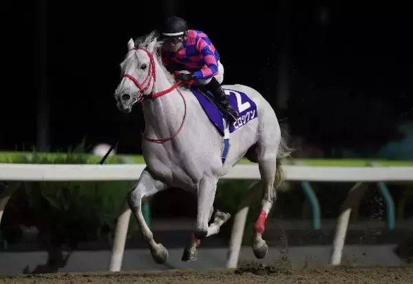 【競馬】岩手競馬グランプリ 「第49回桐花賞」 出走馬ファン投票の結果を発表　12月31日に水沢競馬場で開催