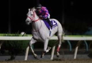 【競馬】岩手競馬グランプリ 「第49回桐花賞」 出走馬ファン投票の結果を発表　12月31日に水沢競馬場で開催