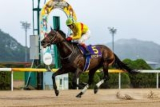 【佐賀競馬（ナイター）雲仙岳賞】1月31日　5R　ビキニボーイ主役譲らず