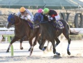 【競馬】東京大賞典Vのディクテオンが大井所属馬として初のLWBRRランクイン