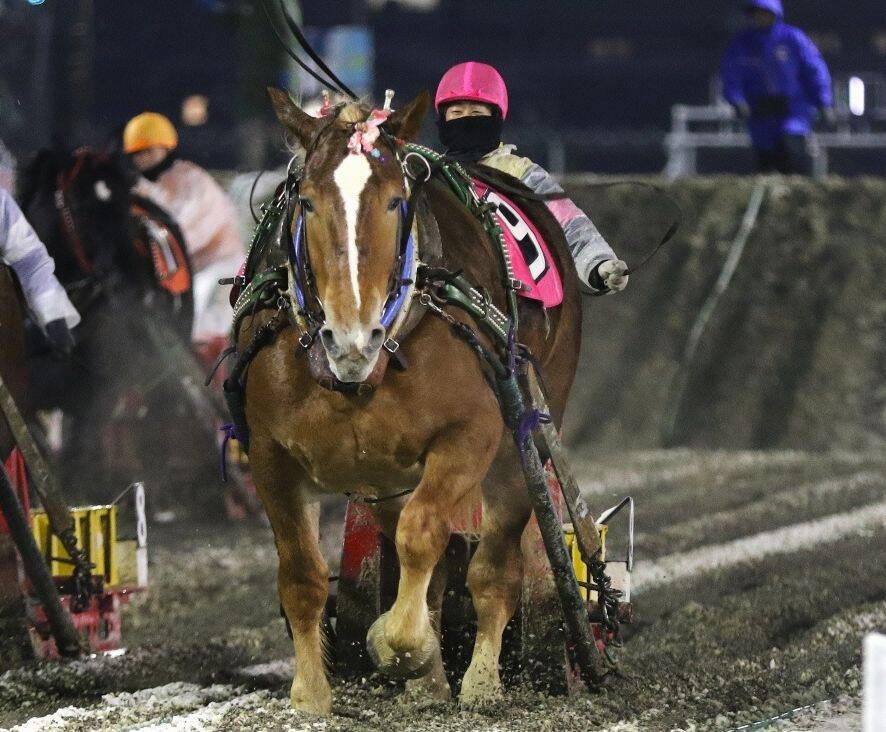 【競馬】ばんえいの赤塚健仁騎手が通算1000勝達成　史上31人目