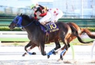 【競馬】地方年度代表馬はディクテオン　「NARグランプリ2025」表彰馬・表彰者を発表