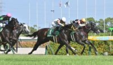 【競馬】小倉記念を制したリフレーミングが引退、種牡馬として繫養先も決まる