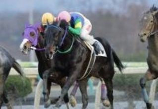 【地方競馬】25歳の関本玲花が通算210勝　岩手競馬歴代女性騎手の最多勝利記録を更新