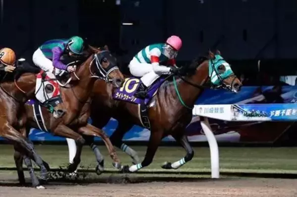 【競馬】2024年の年度代表馬ライトウォーリアが引退