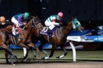 【競馬】2024年の年度代表馬ライトウォーリアが引退