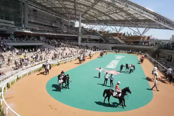 【競馬】JRAの2026年度の「フリーパスの日」決まる