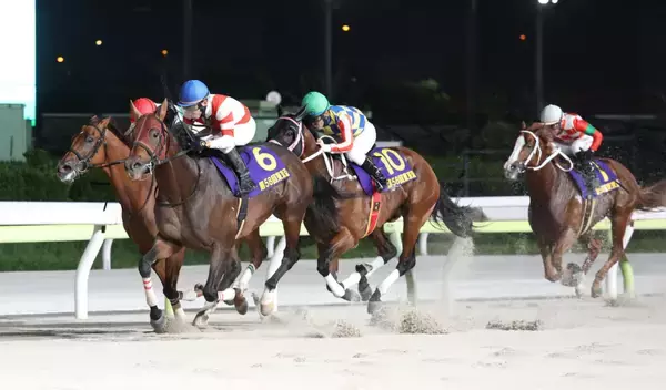 【競馬】2024年東京盃Vのチカッパが大井へ移籍