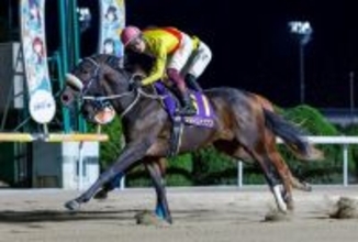 【佐賀競馬（ナイター）第67回花吹雪賞】1月25日　7R　サキドリトッケン重賞5連勝だ