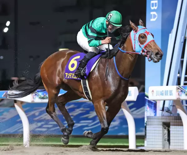 【競馬】2024年の関東オークスVのアンデスビエントが引退、繁殖馬へ