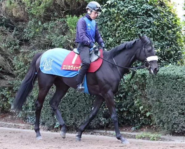 【競馬】エリカヴィータが引退、繁殖馬へ