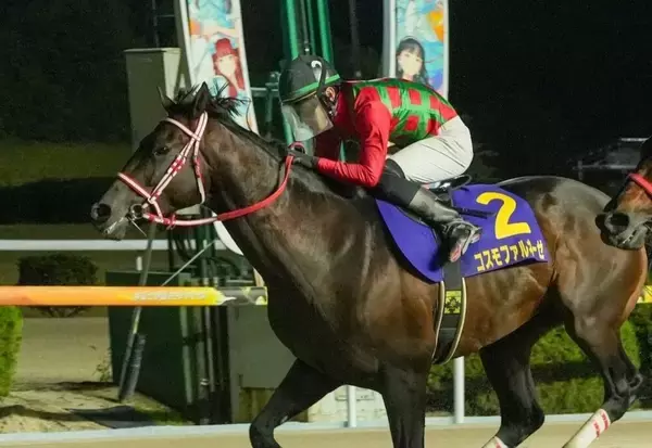 【佐賀競馬（ナイター）雷山賞】1月17日　3R　コスモファルネーゼ差し切り狙う