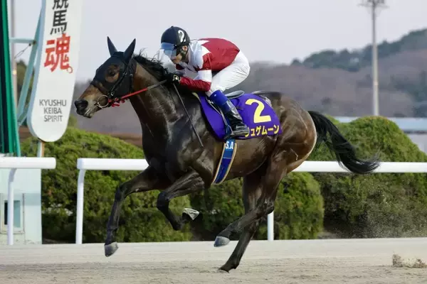 【佐賀競馬（ナイター）第5回ゴールドスプリント】1月11日　3R　ジュゲムーン末脚全開
