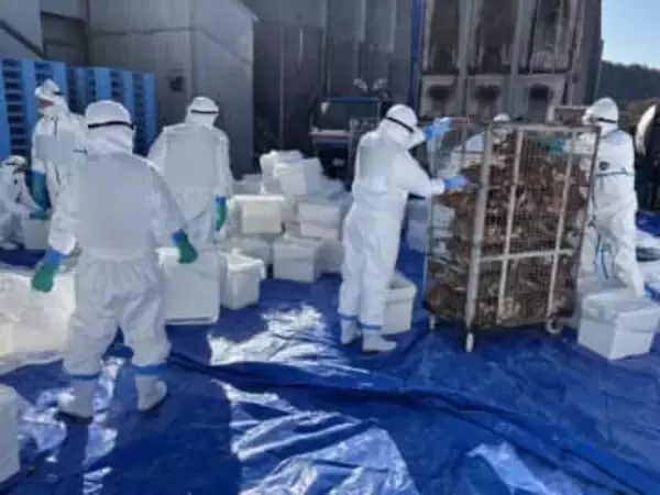「人への感染はない」兵庫・姫路市の養鶏場、鳥インフルエンザ発生 兵庫県最大級、24万羽殺処分