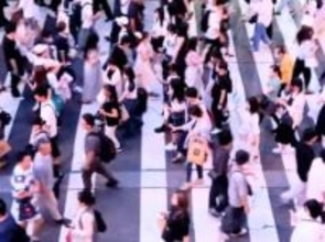 2025年・交通事故死者数、全国で過去最少 2547人 政府目標及ばず 兵庫98人・大阪120人