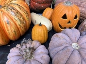 【ハロウィン】元々はカボチャじゃなく“カブ”を使ってたって本当? 仮装する理由は? 識者に聞く