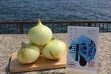 「淡路島の“春の味覚”を全国へ　人気の新玉ねぎ、道の駅あわじが通販で期間限定販売」の画像1