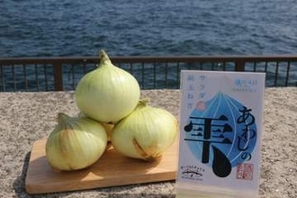 淡路島の“春の味覚”を全国へ　人気の新玉ねぎ、道の駅あわじが通販で期間限定販売