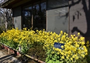 “逃れられない業と性”テーマに落語・講談・浪曲を披露　14日、司馬遼太郎記念館で「菜の花寄席」