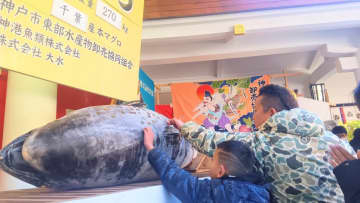 「お金、身につきますように！」西宮神社、恒例『招福大マグロ』奉納  近年まれにみる“大物”現わる