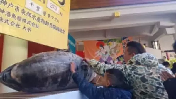 「お金、身につきますように！」西宮神社、恒例『招福大マグロ』奉納  近年まれにみる“大物”現わる