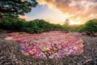 年間通し牡丹彩る日本庭園「由志園」　假屋崎省吾のコラボレーション展を期間限定で開催【島根・松江】