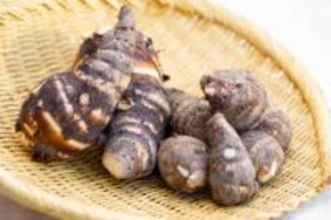 絶滅寸前!?　天皇に献上された兵庫･姫路の伝統野菜「海老芋」とは？　今なお作り続ける農業家に聞く