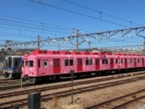 めでたいでんしゃ、存続危機の四国連絡、たま駅長…和歌山市から伸びる“ディープな”路線をたどる