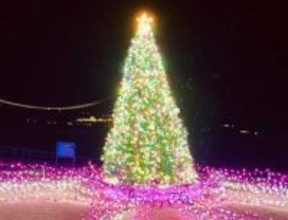 クリスマスまで『マライア・キャリー』を避けては通れないのか!?←やっぱ無理です