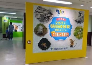 開館式典に登場したカメは今も元気！　姫路市立水族館で60周年企画展　研究や繁殖など「挑戦」を紹介
