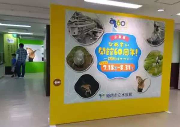 開館式典に登場したカメは今も元気！　姫路市立水族館で60周年企画展　研究や繁殖など「挑戦」を紹介