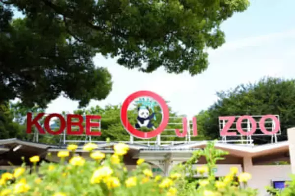 【開園75周年】神戸・王子動物園で進む“動物ファースト”な再整備　「未来の動物園の土台づくり」