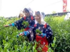 宇治新茶、季節到来「夏も近づく、八十八夜」味、香り良し！一方、中東情勢が影落とす...なぜ？