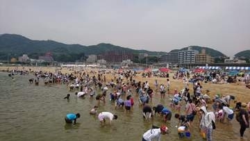 駅すぐの海で潮干狩りも　神戸・須磨海岸　海や環境学ぶ体験プログラム、今季は4月25日に開幕