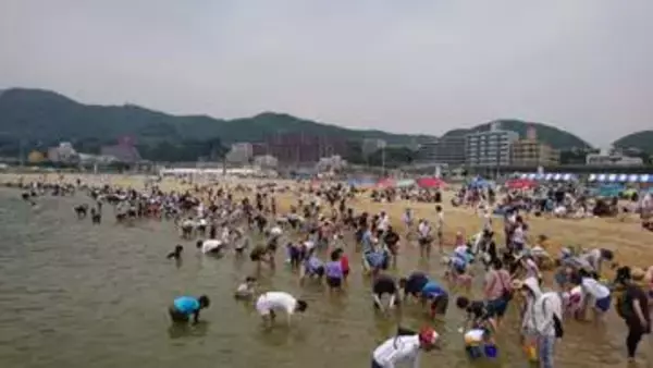 駅すぐの海で潮干狩りも　神戸・須磨海岸　海や環境学ぶ体験プログラム、今季は4月25日に開幕