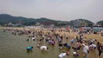 駅すぐの海で潮干狩りも　神戸・須磨海岸　海や環境学ぶ体験プログラム、今季は4月25日に開幕