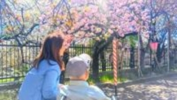 『桜の通り抜け』春本番！特別観桜会  人気の一般公開、すでに“キャンセル待ち” 大阪・造幣局