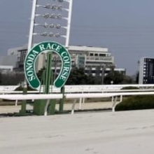 園田競馬の重賞レース「第68回園田金盃」　ファン投票、締め切り迫る　11月6日まで