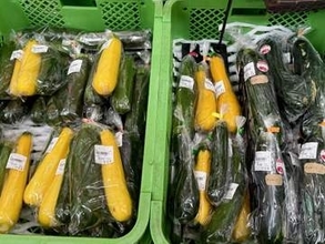 免疫力上げる「ズッキーニ」　美肌サプリ的な効果も!?　野菜ソムリエが教える“簡単＆時短レシピ”