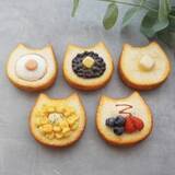 「猫グッズ大集合！「猫ウィーク」神戸マルイで24日まで開催中　保護猫譲渡会も同時実施」の画像1