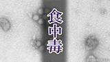 「【食中毒】高齢者施設でノロウイルスによる集団食中毒　入所者など23人におう吐や下痢などの症状　施設の調理業務受託業者に営業禁止命令　広島」の画像1