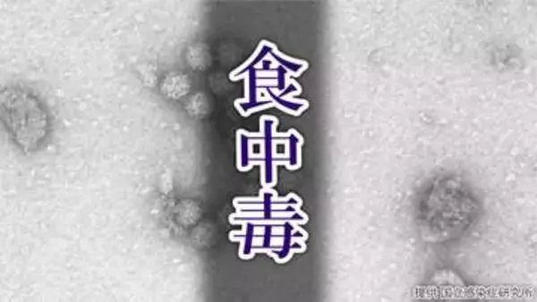 【食中毒】高齢者施設でノロウイルスによる集団食中毒　入所者など23人におう吐や下痢などの症状　施設の調理業務受託業者に営業禁止命令　広島