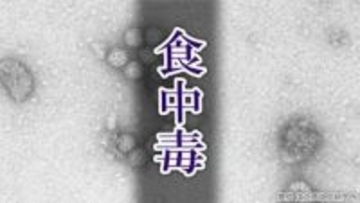 【食中毒】高齢者施設でノロウイルスによる集団食中毒　入所者など23人におう吐や下痢などの症状　施設の調理業務受託業者に営業禁止命令　広島