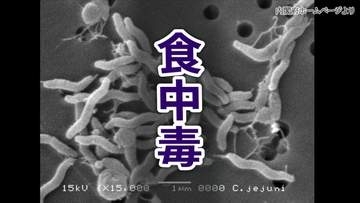 飲食店でカンピロバクターによる食中毒　30~40代の男性5人が下痢や発熱などの症状　飲食店を営業禁止処分　広島・福山市