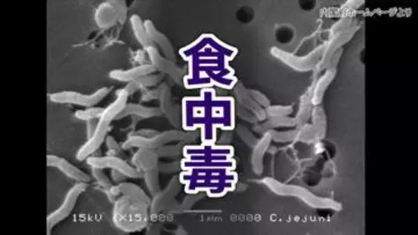 飲食店でカンピロバクターによる食中毒　30~40代の男性5人が下痢や発熱などの症状　飲食店を営業禁止処分　広島・福山市