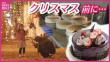 クリスマス商戦で“イチゴ頼み脱却”宣言　「値段が上がるか予測しづらい」　なのにケーキの種類は去年の2倍に⁉　老舗洋菓子店の巻き返し戦略