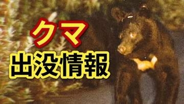 【速報】広島市でクマ１頭を緊急銃猟　県内で緊急銃猟は初　箱わなに入っていた成獣とみられるクマ
