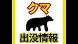 「広島市安佐動物公園で野生のクマを確認　設置していたカメラに映る　西園の一部を閉鎖」の画像1